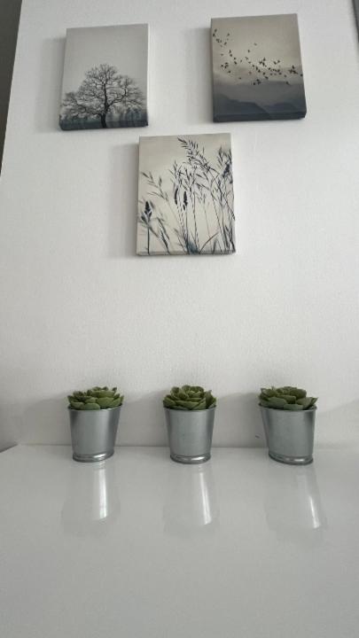Apartma Rakita Moravske Toplice Exterior foto